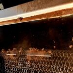 A close up of bees on the inside of a beehive.